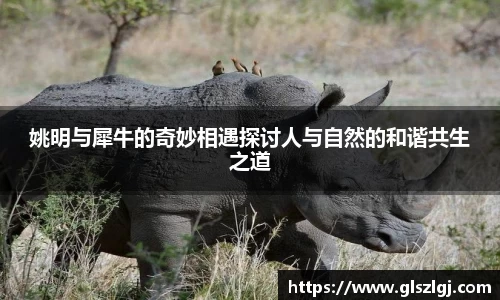 姚明与犀牛的奇妙相遇探讨人与自然的和谐共生之道